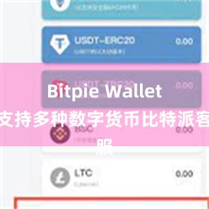 Bitpie Wallet还支持多种数字货币比特派客服